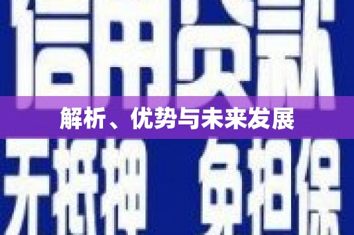 台东解析、优势与未来发展