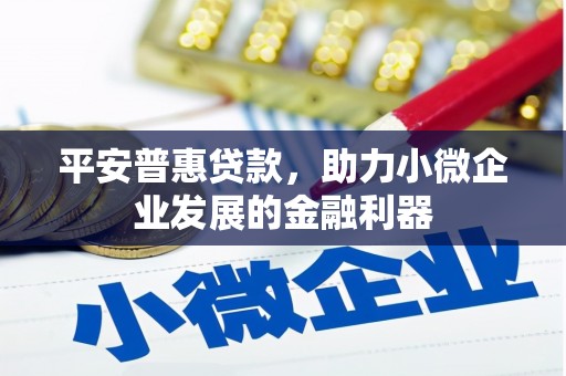 台东平安普惠贷款，助力小微企业发展的金融利器