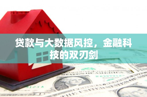 台东贷款与大数据风控，金融科技的双刃剑