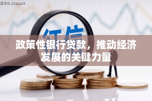 台东政策性银行贷款，推动经济发展的关键力量