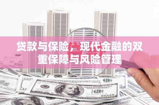 台东贷款与保险，现代金融的双重保障与风险管理