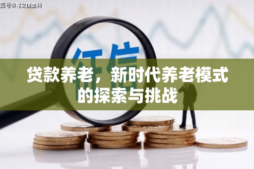 台东贷款养老，新时代养老模式的探索与挑战