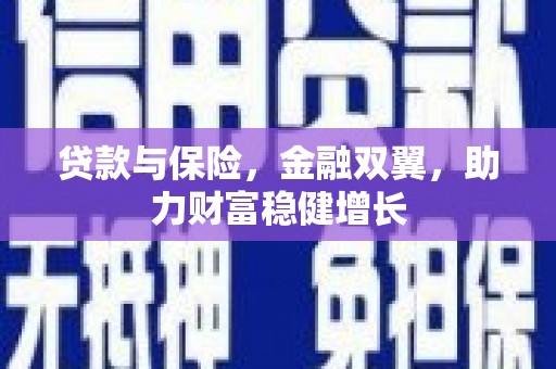 台东贷款与保险，金融双翼，助力财富稳健增长