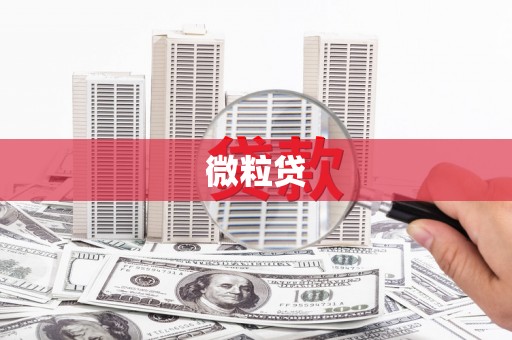 台东微粒贷