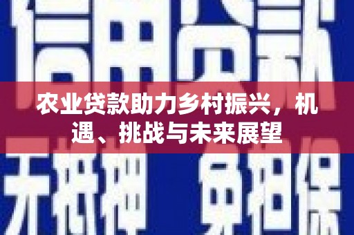 台东农业贷款助力乡村振兴，机遇、挑战与未来展望