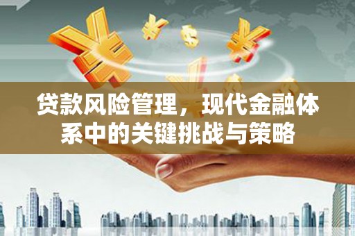 台东贷款风险管理，现代金融体系中的关键挑战与策略