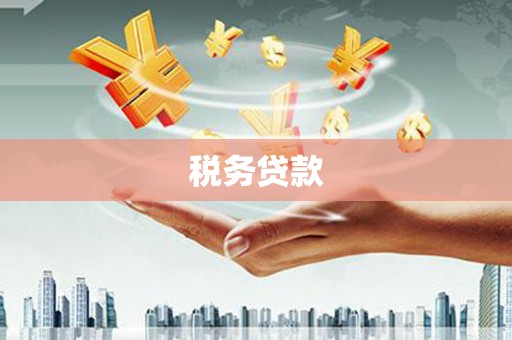 台东税务贷款