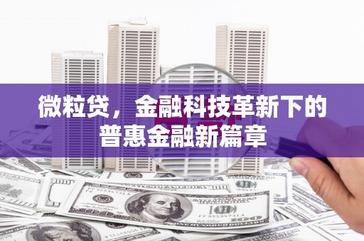 台东微粒贷，金融科技革新下的普惠金融新篇章