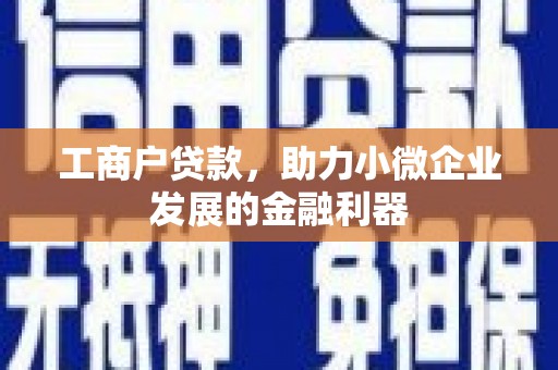 台东工商户贷款，助力小微企业发展的金融利器