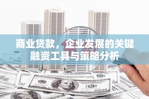 台东商业贷款，企业发展的关键融资工具与策略分析