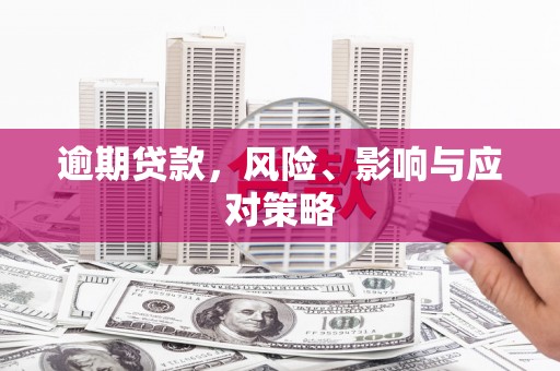 台东逾期贷款，风险、影响与应对策略