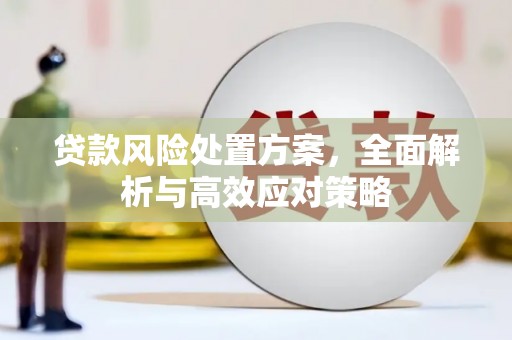 台东贷款风险处置方案，全面解析与高效应对策略