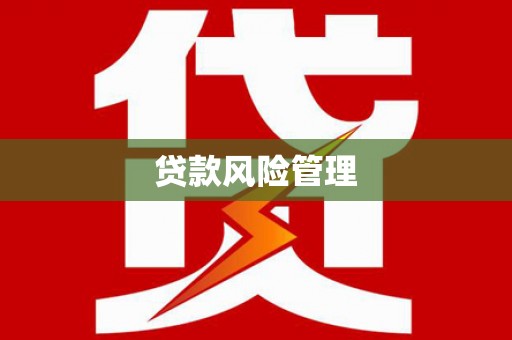 台东贷款风险管理