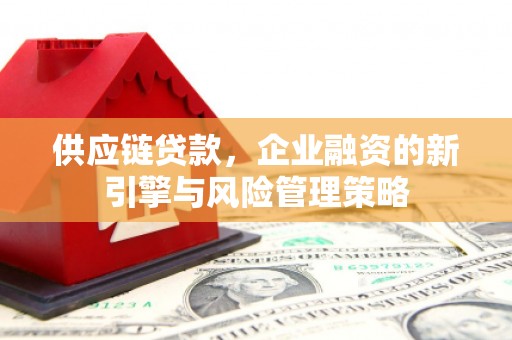 台东供应链贷款，企业融资的新引擎与风险管理策略