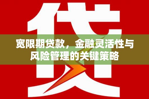 台东宽限期贷款，金融灵活性与风险管理的关键策略
