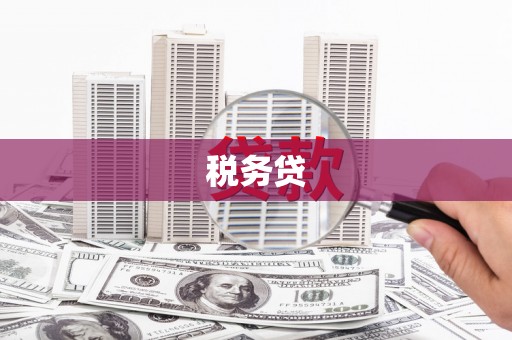台东税务贷