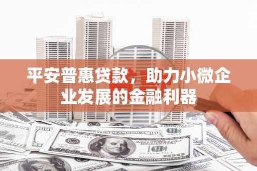 台东平安普惠贷款，助力小微企业发展的金融利器