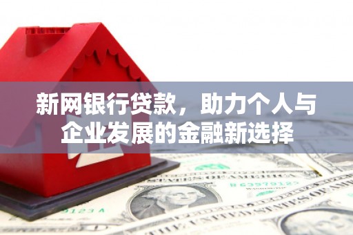 台东新网银行贷款，助力个人与企业发展的金融新选择