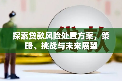台东探索贷款风险处置方案，策略、挑战与未来展望