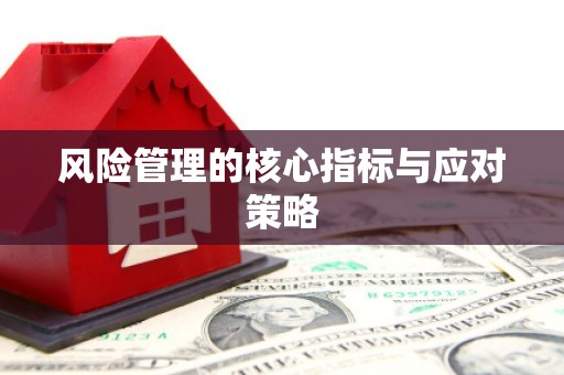 台东风险管理的核心指标与应对策略