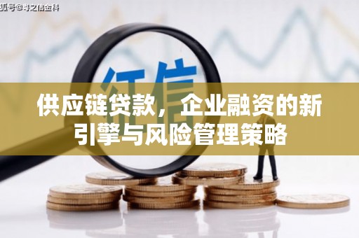 台东供应链贷款，企业融资的新引擎与风险管理策略