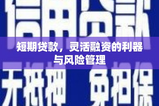 台东短期贷款，灵活融资的利器与风险管理