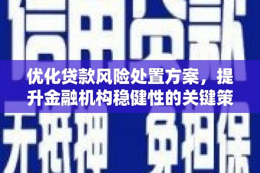 台东优化贷款风险处置方案，提升金融机构稳健性的关键策略