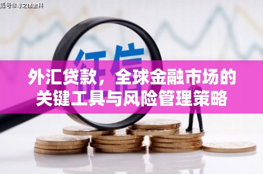 台东外汇贷款，全球金融市场的关键工具与风险管理策略