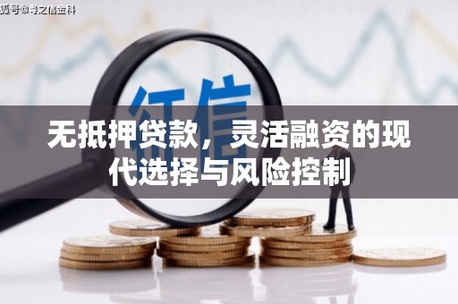 台东无抵押贷款，灵活融资的现代选择与风险控制
