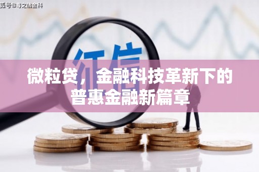 台东微粒贷，金融科技革新下的普惠金融新篇章