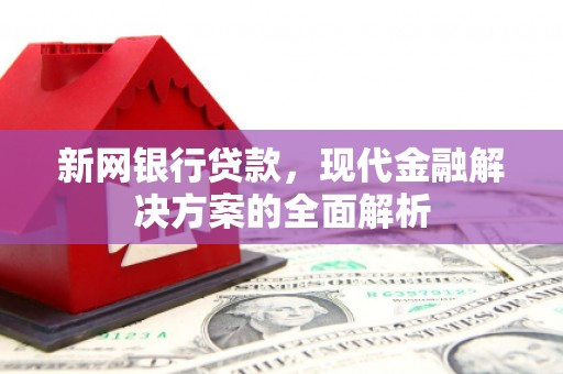 台东新网银行贷款，现代金融解决方案的全面解析