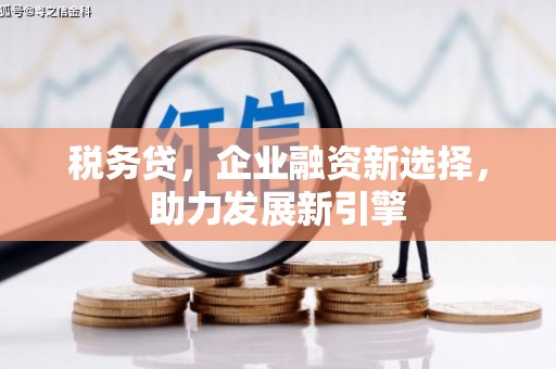 台东税务贷，企业融资新选择，助力发展新引擎