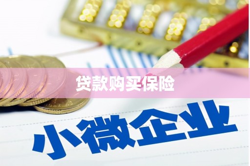台东贷款购买保险