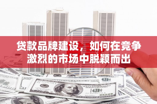 台东贷款品牌建设，如何在竞争激烈的市场中脱颖而出