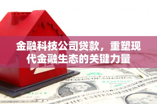 台东金融科技公司贷款，重塑现代金融生态的关键力量