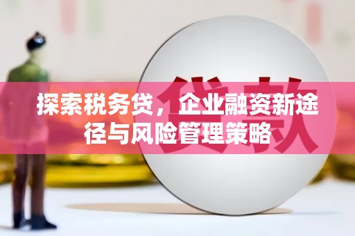 台东探索税务贷，企业融资新途径与风险管理策略
