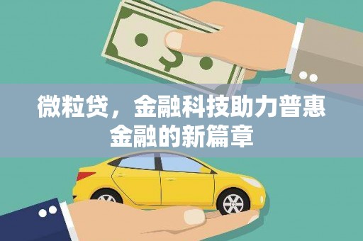 台东微粒贷，金融科技助力普惠金融的新篇章