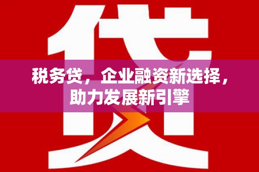 台东税务贷，企业融资新选择，助力发展新引擎