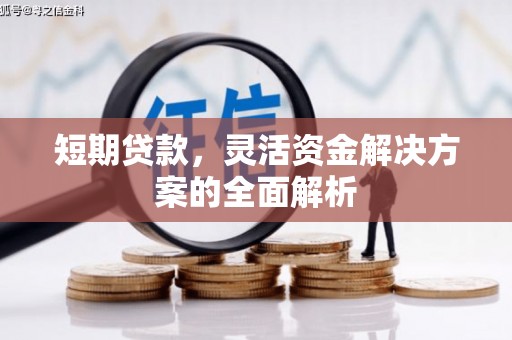 台东短期贷款，灵活资金解决方案的全面解析