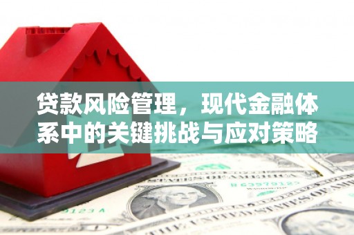 台东贷款风险管理，现代金融体系中的关键挑战与应对策略