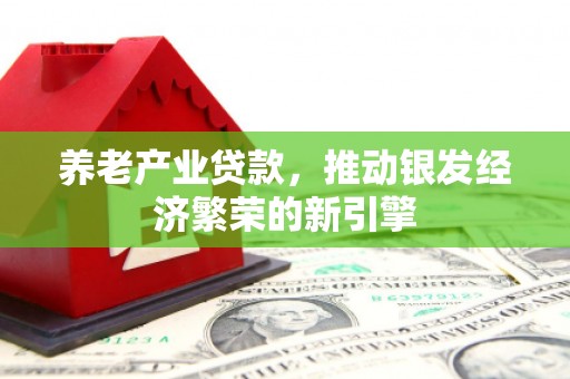 台东养老产业贷款，推动银发经济繁荣的新引擎
