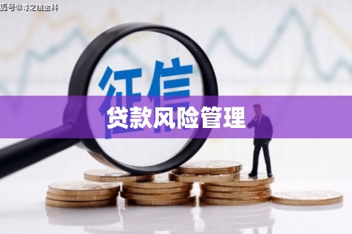 台东贷款风险管理