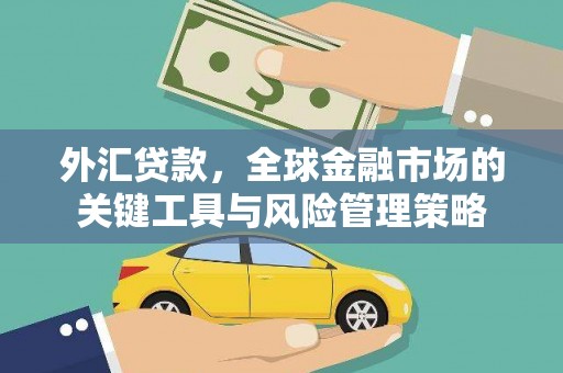台东外汇贷款，全球金融市场的关键工具与风险管理策略
