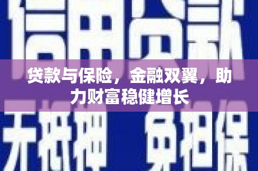 台东贷款与保险，金融双翼，助力财富稳健增长
