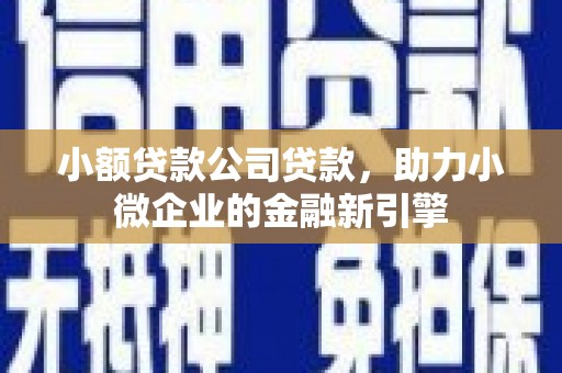 台东小额贷款公司贷款，助力小微企业的金融新引擎