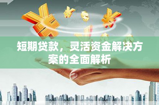 台东短期贷款，灵活资金解决方案的全面解析