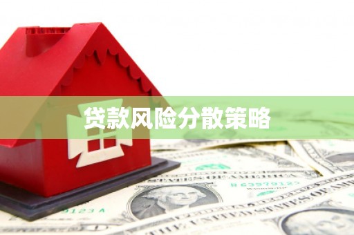 台东贷款风险分散策略