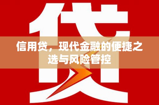 台东信用贷，现代金融的便捷之选与风险管控