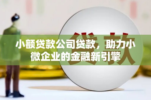台东小额贷款公司贷款，助力小微企业的金融新引擎