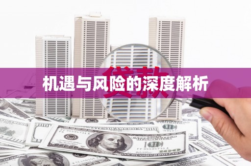 台东机遇与风险的深度解析